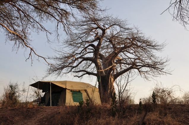 Ruaha tented camp, southern Tanzania