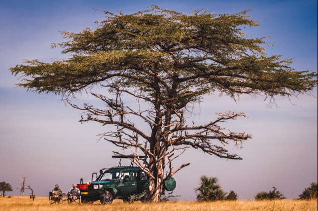 Southern Tanzania safari