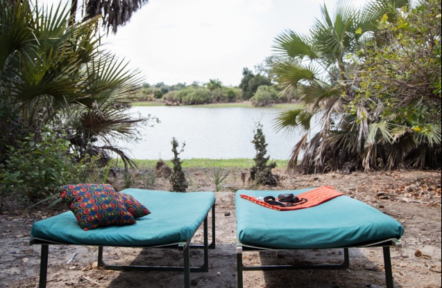 Southern Tanzania safari