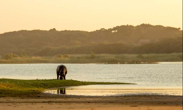 Lake st lucia zululand