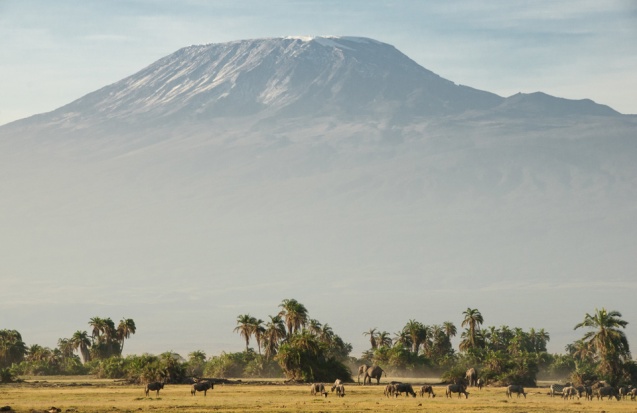 Amboseli view of My Kilimanjaro