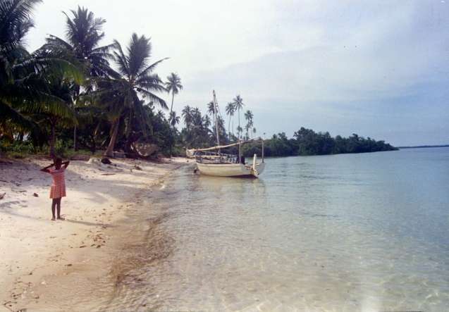 Mafia island Tanzania