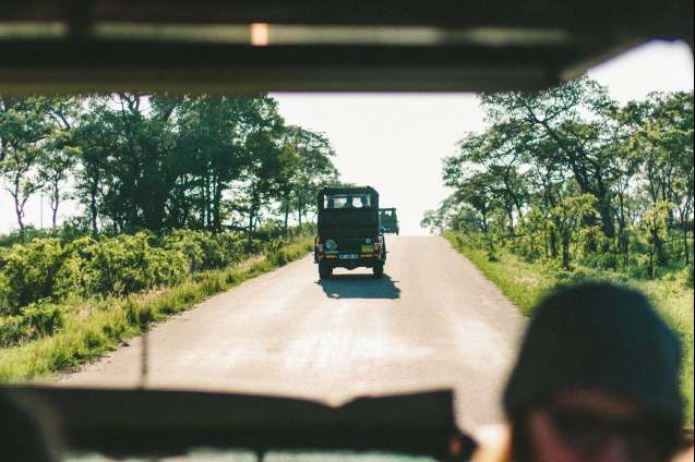 Safety on game drives