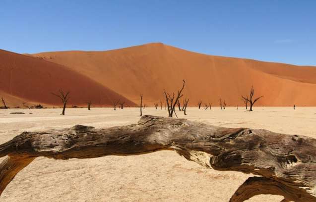 Swakopmund & Namibia Desert Private Safari
