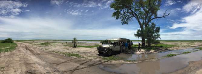 Botswana bush panorama