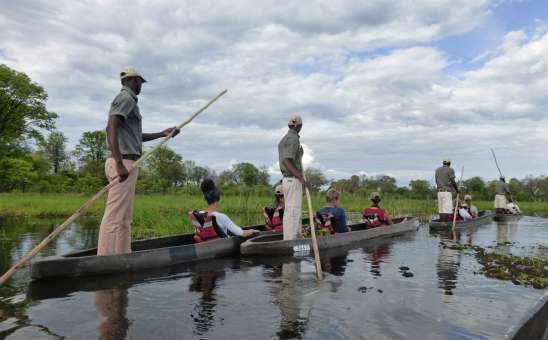 What is a budget Botswana safari experience really like?