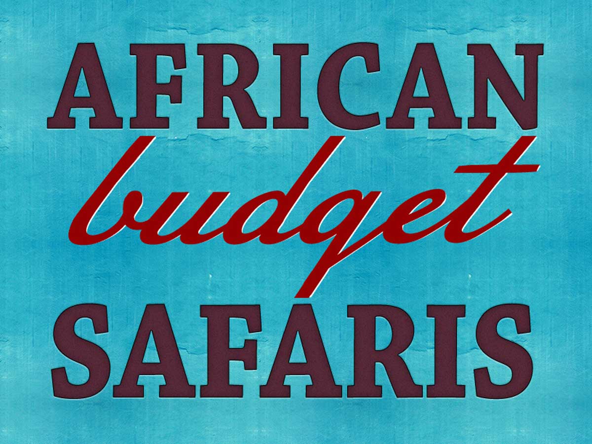 African Budget Safaris Reviews About Africa Budget Travel & Tours
