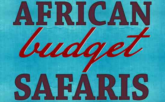 What is African Budget Safaris? Safari Reviews & All