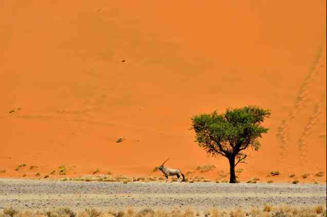 Private Namibia tours
