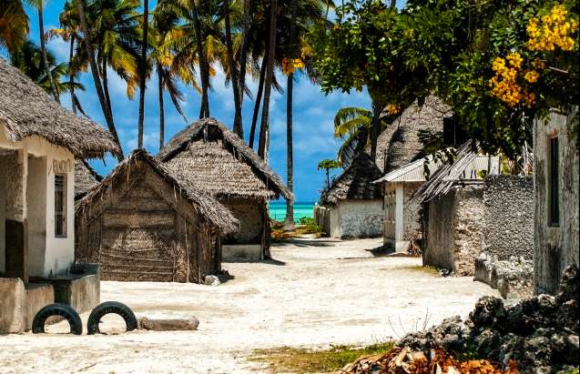 Village Zanzibar island