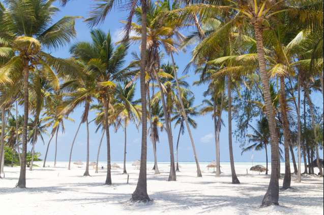 Paje Beach Zanzibar