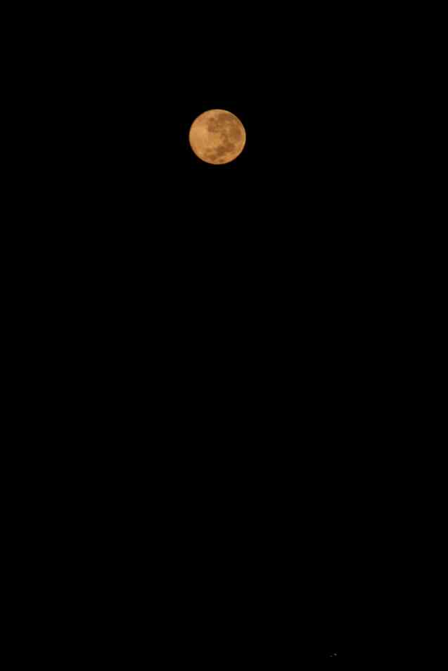 Super pink moon