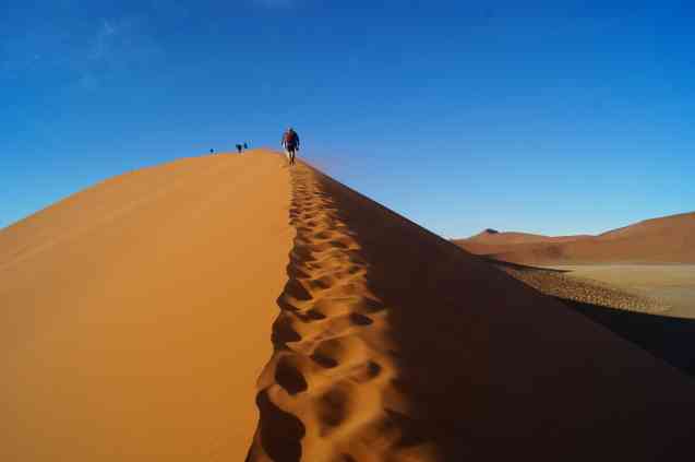 Namib Desert dune, Namibia
