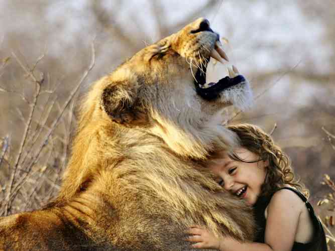 African lion and girl
