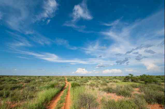 South Africa Kgalagadi Park