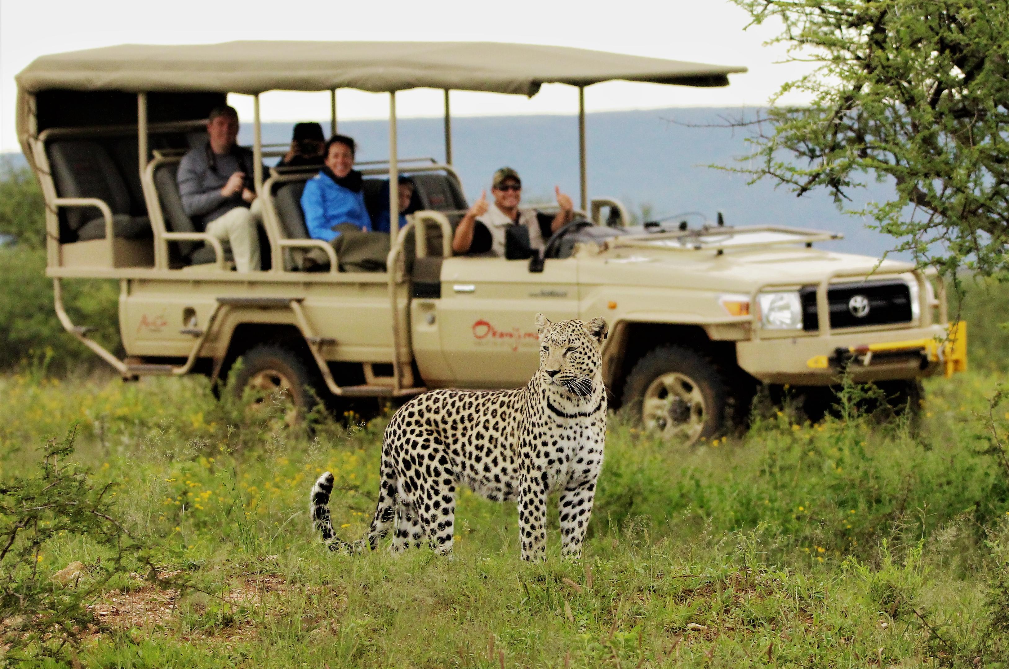 Safari In South Africa