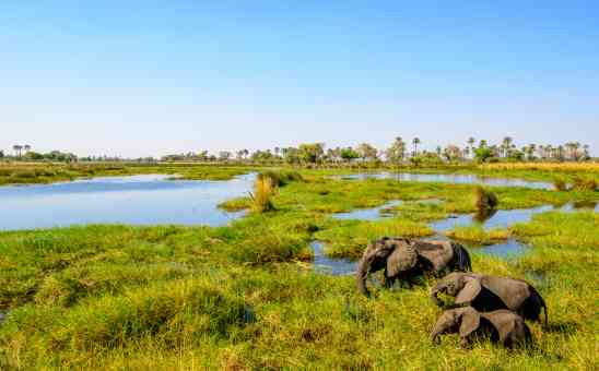 3 Reasons why Africa is the best place to travel to in the world