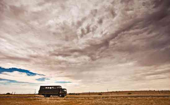 When Is the Best Time to Go on a Safari in Africa?