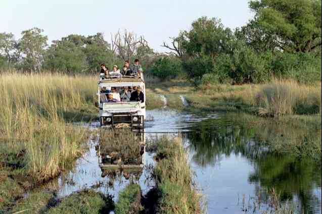 Rainy season African safari