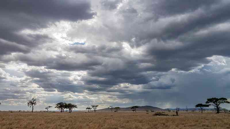 Best time to visit Serengeti National Park - Serengeti Safari Tanzania - Vimarsana News