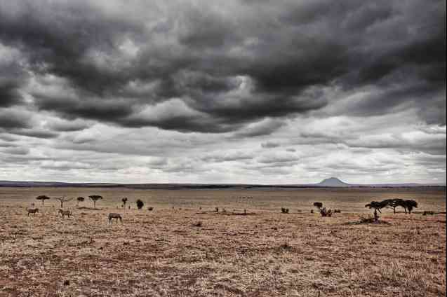 Serengeti safari in September