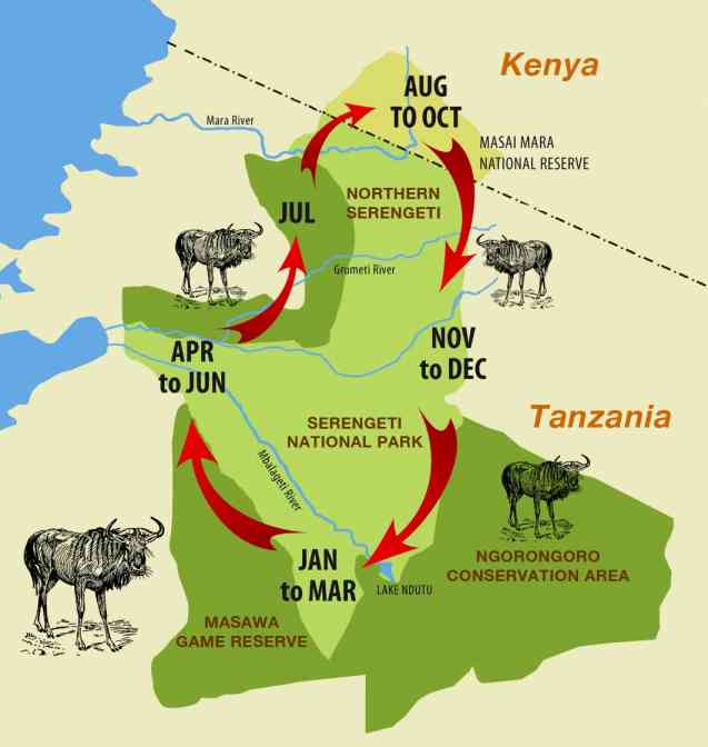 Great migration map, Serengeti safari