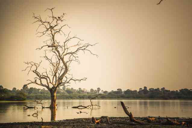 Selous, Remote Place for Tanzania Safaris
