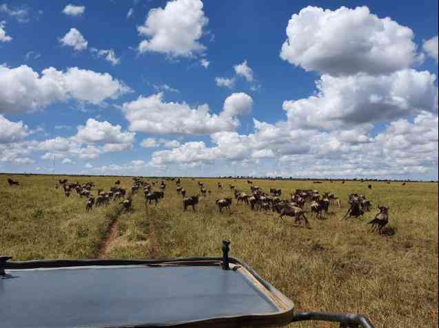 Private Tanzania Safari experience