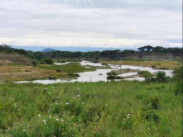 Tarangire Park scenery, Tanzania