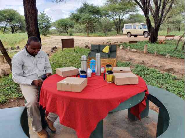 Picnic stop on Tanzania safari