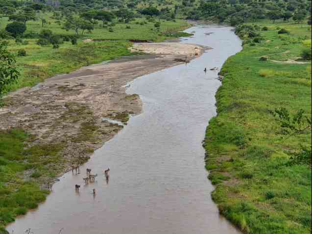 Tarangire River stop, Tanzania