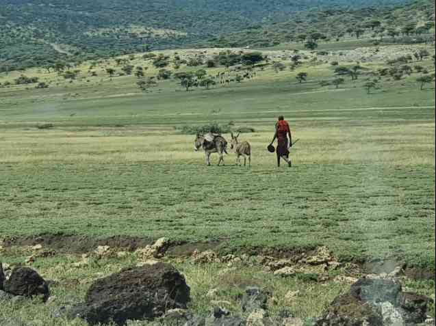 Maasai in traditional dress, Tanzania