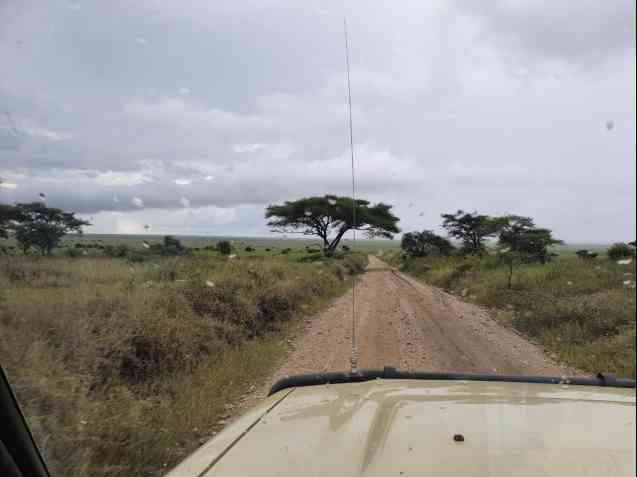 Serengeti Park gravel roads