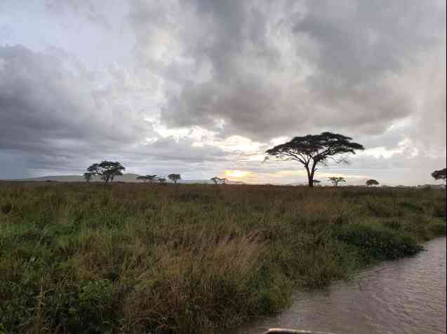 Serengeti roads flooded