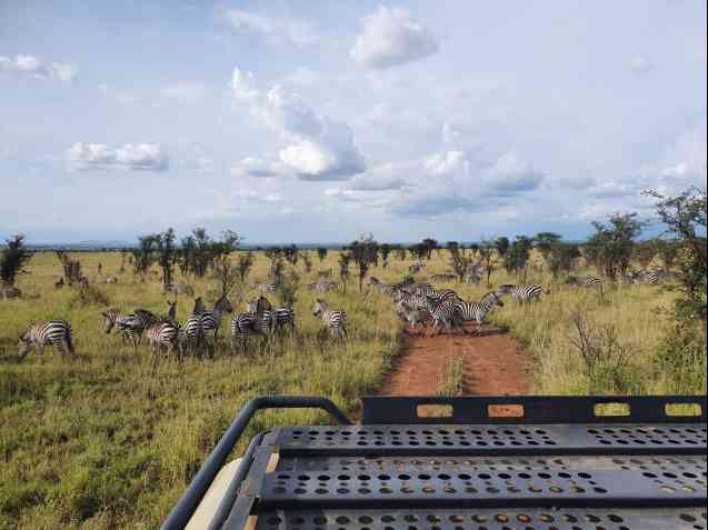 Great Migration Serengeti Safari