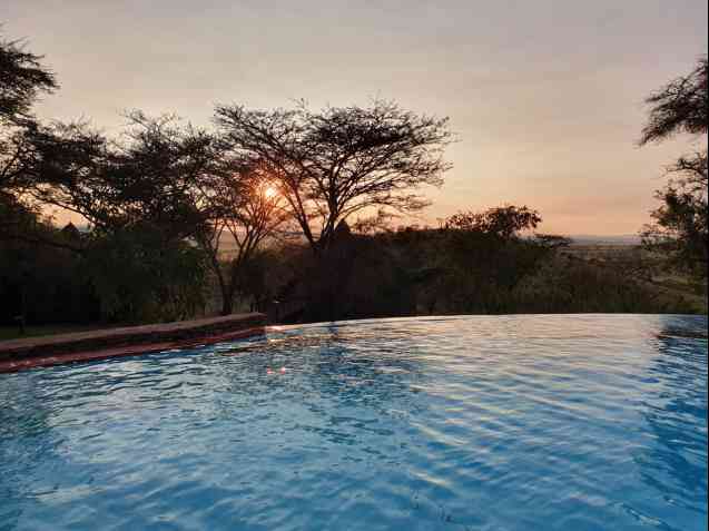 Serengeti tented lodge pool at sunset