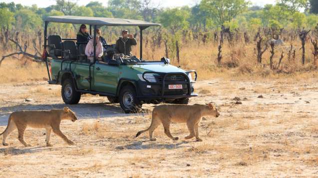 Zimbabwe is a safe safari destination