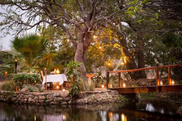 Romantic safari dinner