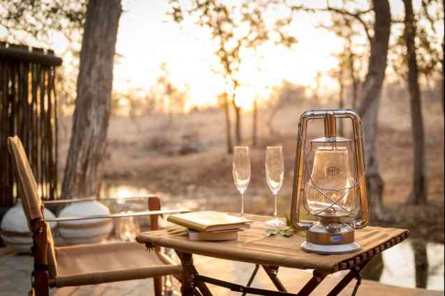Honeymoon safari in Africa