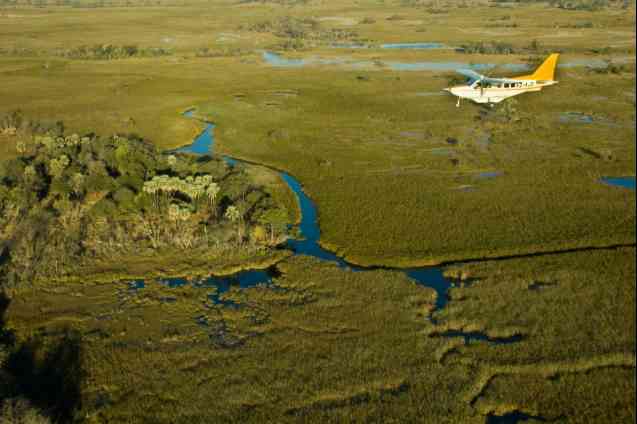 Scenic Okavango Delta flight, Botswana
