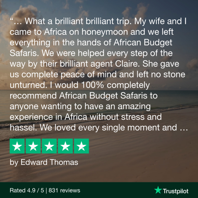 Trustpilot review - edward thomas