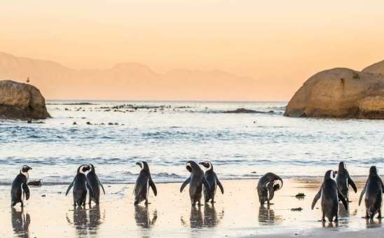 10 of the Best Africa Beach Destinations