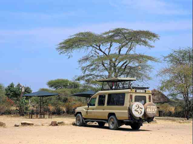 Safari vehicle in Tanzania (Serengeti National Park)