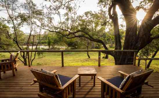 Safari Guide: 10 top tips for your first safari in Africa