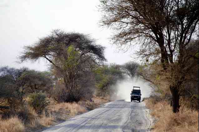 Tarangire safari, Tanzania