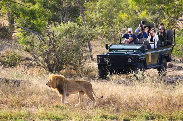 Safari game drive by african budget safaris
