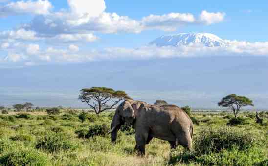 What is the Great Rift Valley of Africa and how to get there