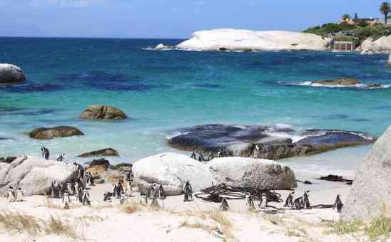 5 Best Places to Visit in Africa on Winter Break (African Summer Vacations)