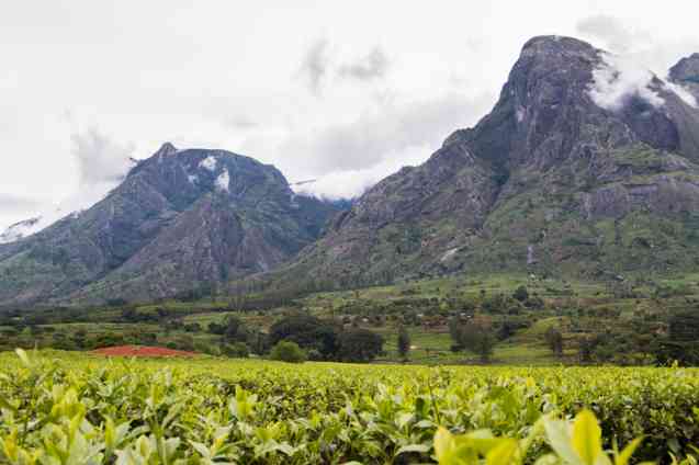 Mount Mulanje, Malawi 