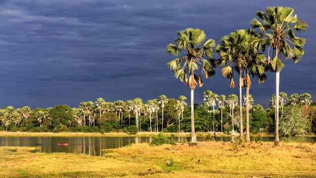 Liwonde, African Parks in Malawi